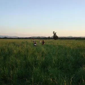 Casa di campagna Tenuta Rivalazzo, Noceto